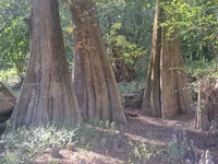 20260925_155244.webp