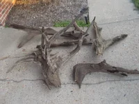 DSCN1432.webp