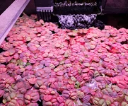 IMG 01 (3).webp