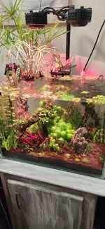 20230516_090329.webp