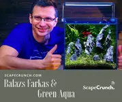 Balazs Farkas & Green Aqua