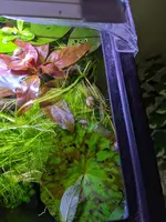 image000000.webp