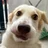 plantedglass