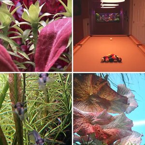 Media of the Month Contest - July 2026 - Best Angle