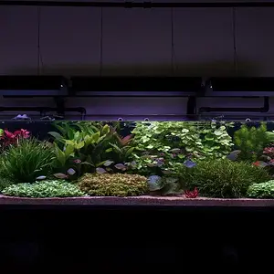 Original no crop or edit.jpg