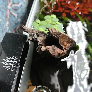 Wood With Hole in Top.webp