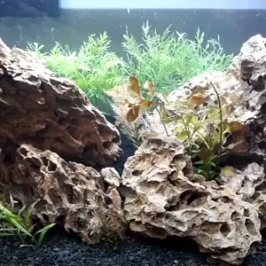 Dragon Stone Middle Island