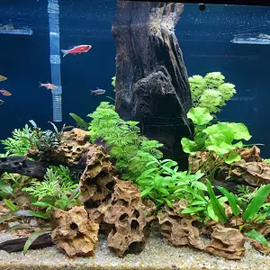 Dragon Stone Mountain Island