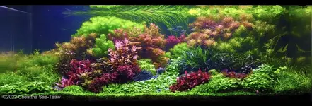 094FDB65-C8AE-4C29-BDBE-76EF5F4694E2.webp