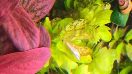 20250925_205644.webp