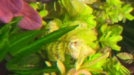 20250925_205004.webp
