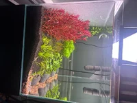 Photo 4.webp