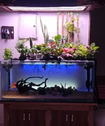 WhatsApp Image 2026-04-24 at 1.20.06 PM.webp