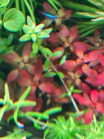 IMG_8710.webp