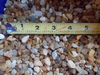 DSCN1233.webp
