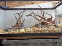 DSCN1242.webp