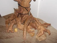 DSCN1293.webp