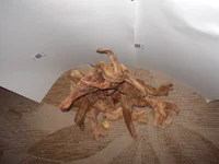 DSCN1291.webp