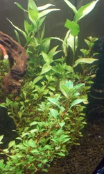 DSCN1372.webp