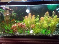 DSCN1357.webp