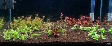 week1_1200.webp