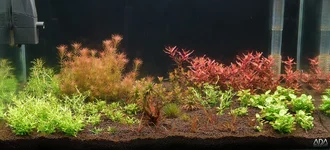 week2_1200.webp