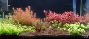 week3_1000.webp