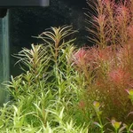 week3d.webp