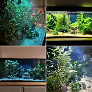 FLuval Flex 123