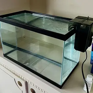 Empty holding tank.jpg