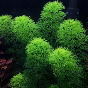 20181014_153114 (2).jpg