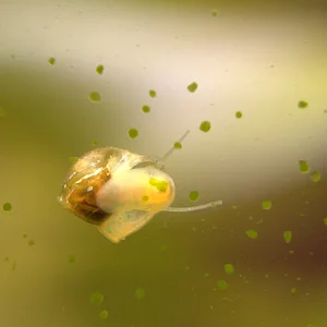 IMG_1426 brighter.webp