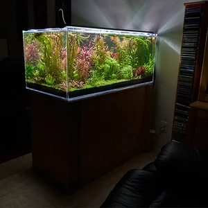 2025 December 13 Tank 3 final.webp