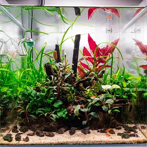 UNS 30C Dec 26_2025.webp