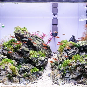 WB 25 Dec_30_2025.webp