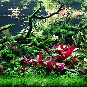 WB 3620 3_29_26.webp