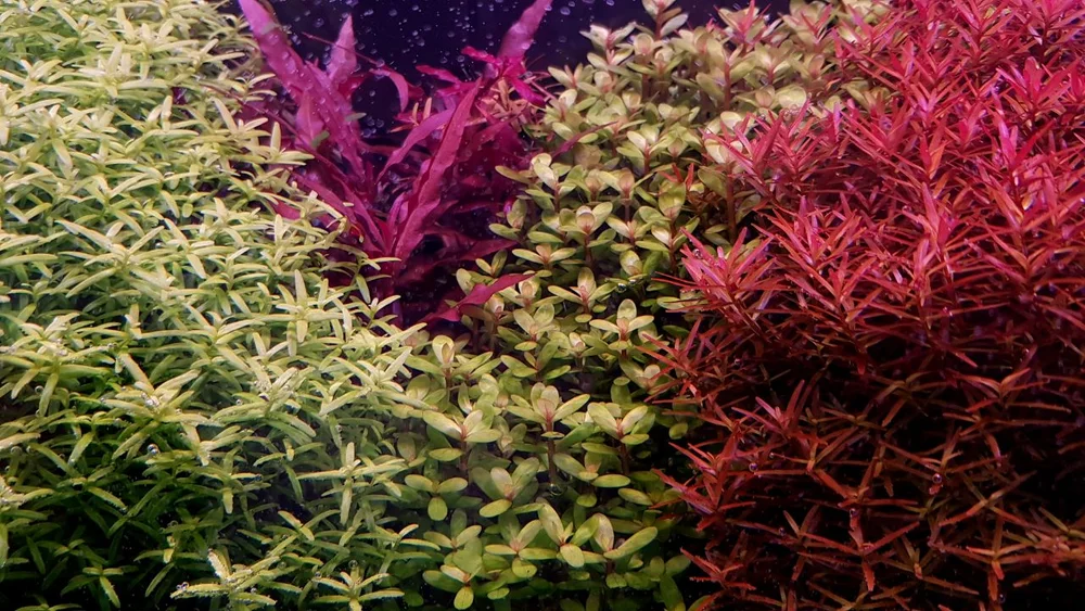 2023-10-06 13-23-45.webp