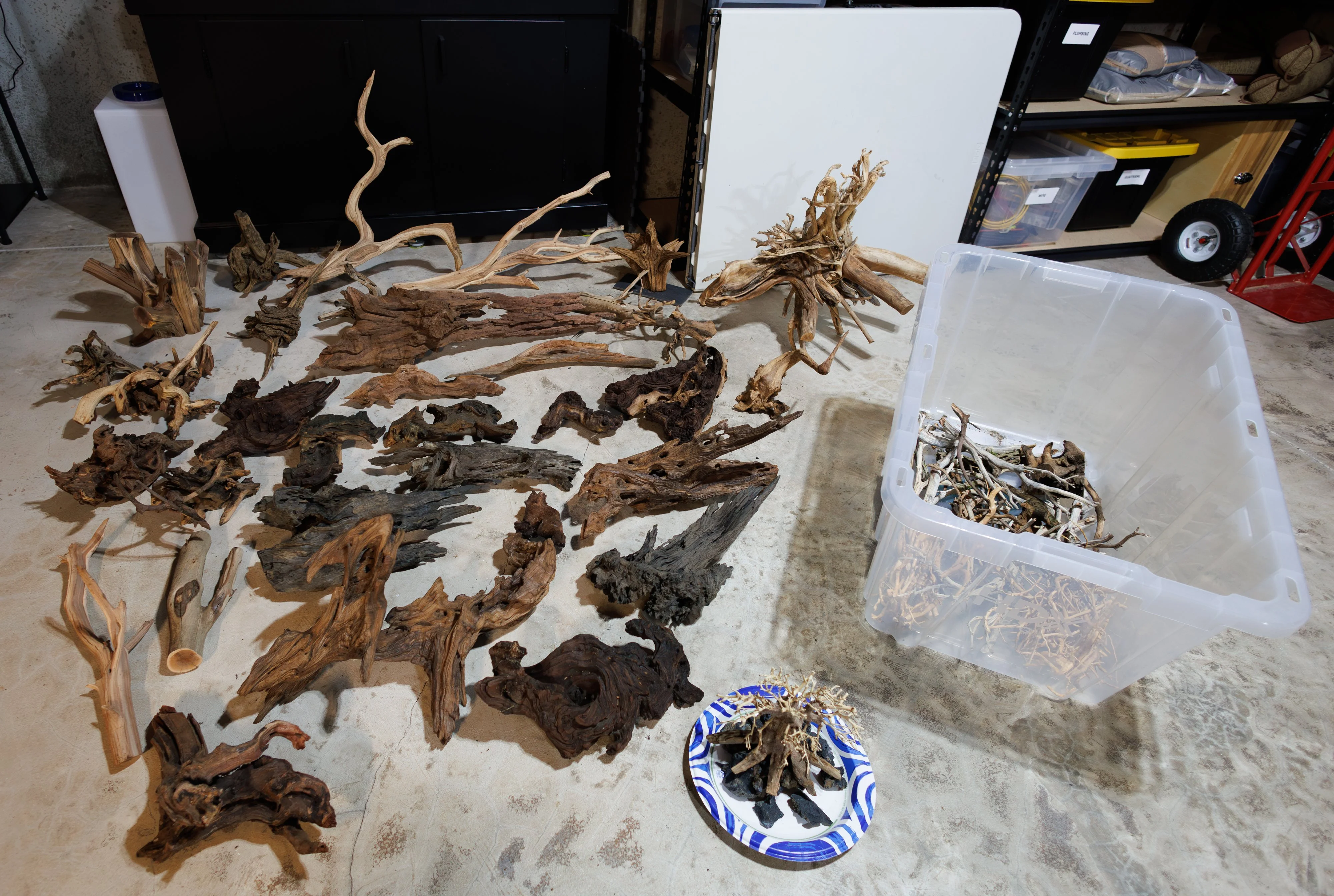 Driftwood Stash.webp