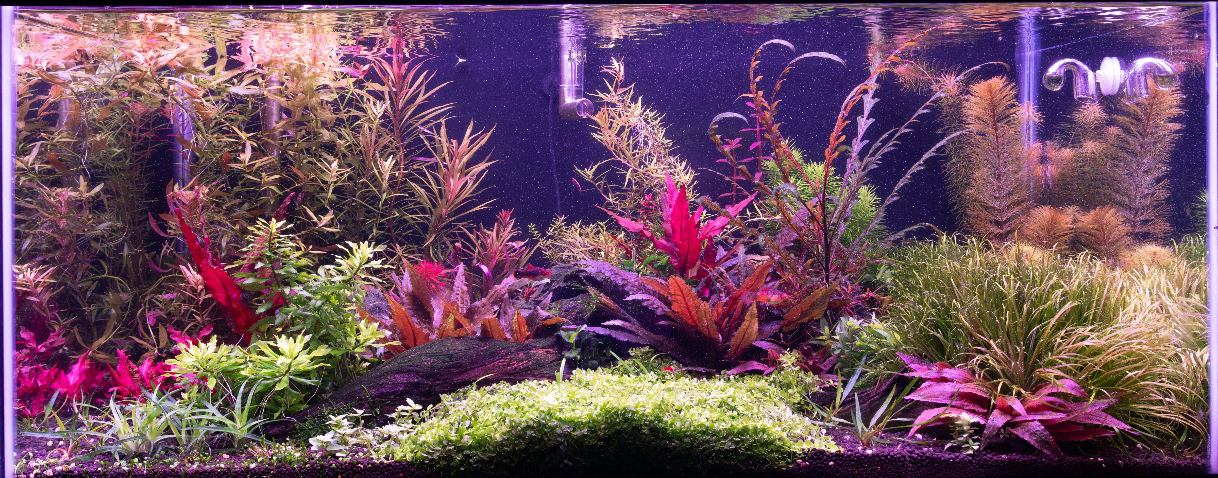 Farm Tank 1_8_26.webp