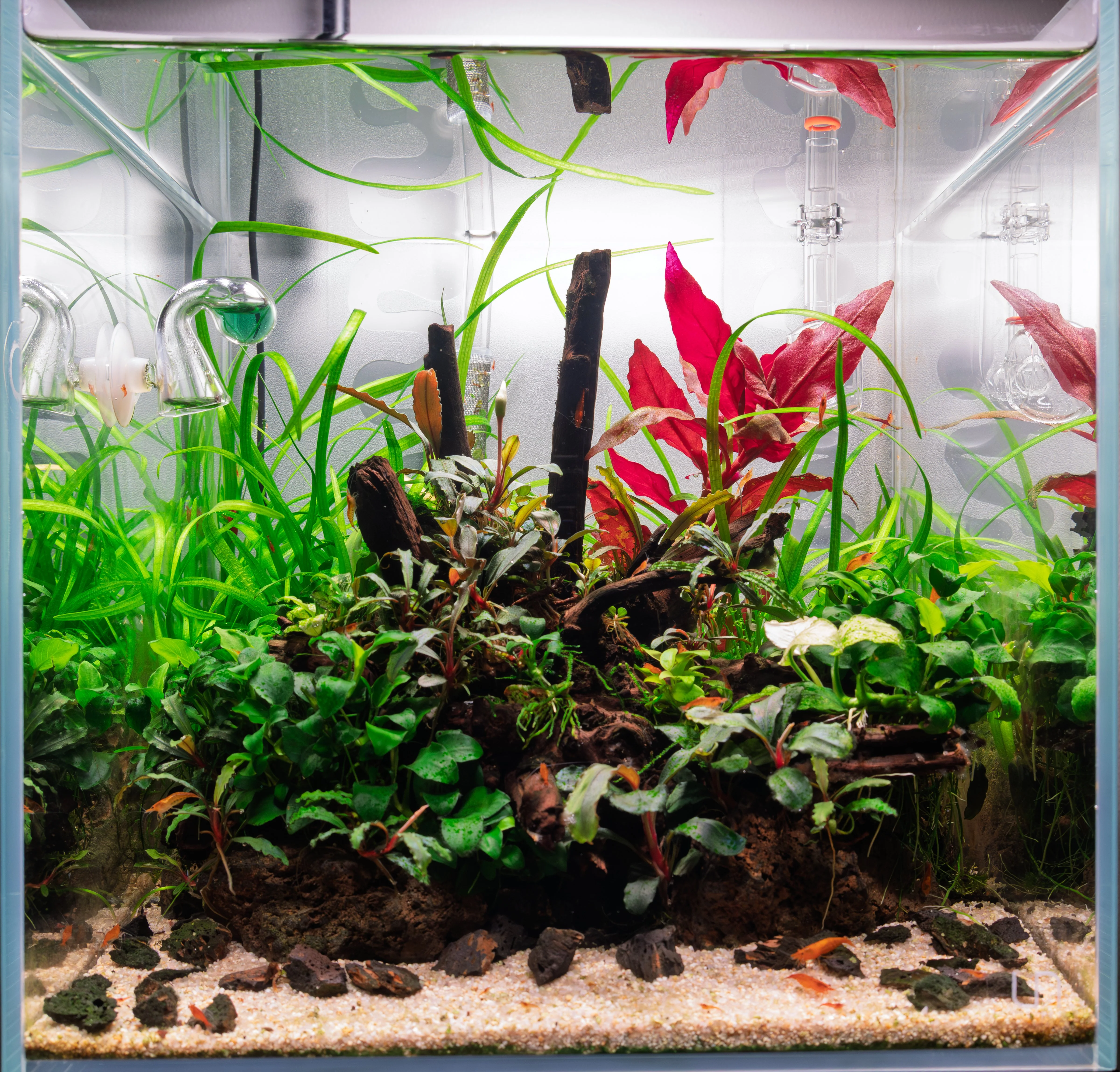 UNS 30C Dec 26_2025.webp